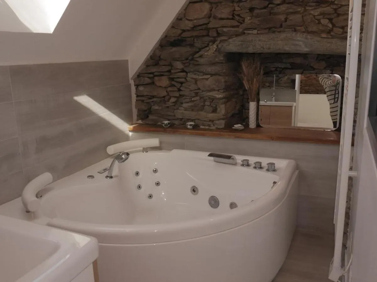 Villa Contemporaine Avec Jardin, A 1,5 Km De La Plage: 8 Pers., 2 Terrasses, Wi-Fi, Baignoire Balneo - Fr-1-418-198 Locmaria France